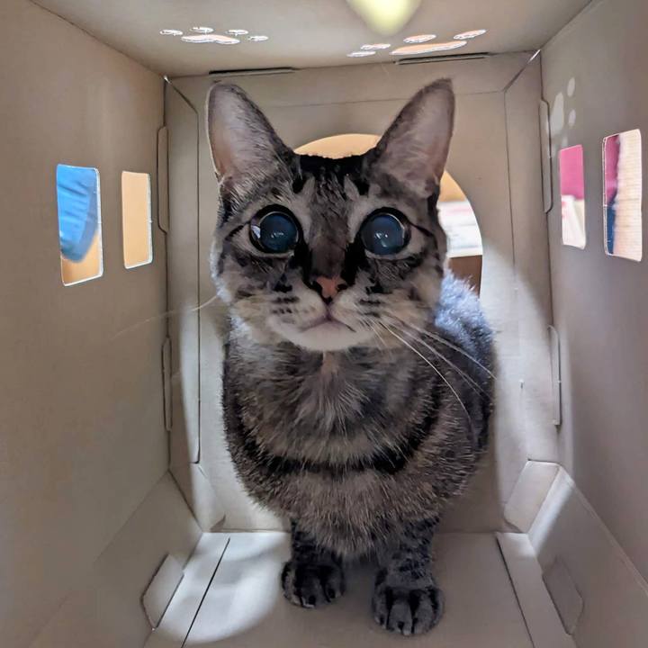 Ac2b4738 0b39 4145 b7af 055c43f201df 1757397133247