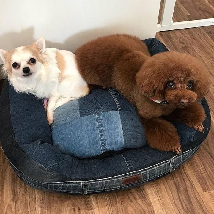 Ac2b5453 6ed4 469d 8cc5 7df5fa20d78c 1520203187019