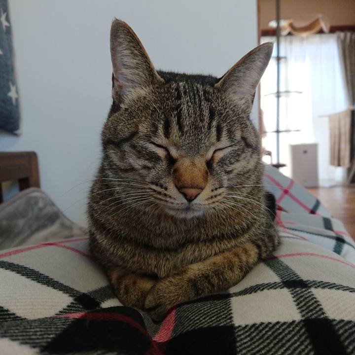 Ac2b63fa ec4e 4744 b6dd 343bdf7572e6 1580517553231