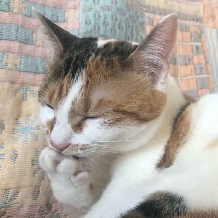 Ac2b7e49 cf54 4f92 9cb1 f0c9e2b2219c 1587875951593