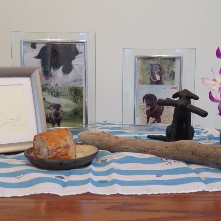 Ac2b956f ef32 4f6b 97e1 3761dbba54d8 1565767826355