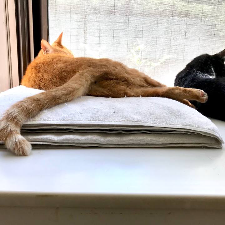 Ac2b9a5a 5a03 4c38 8212 e49fed029a3a 1525063499244