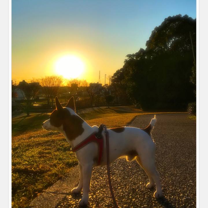 Ac2ba5b4 8cbf 442c b727 c227772abde7 1512226170196