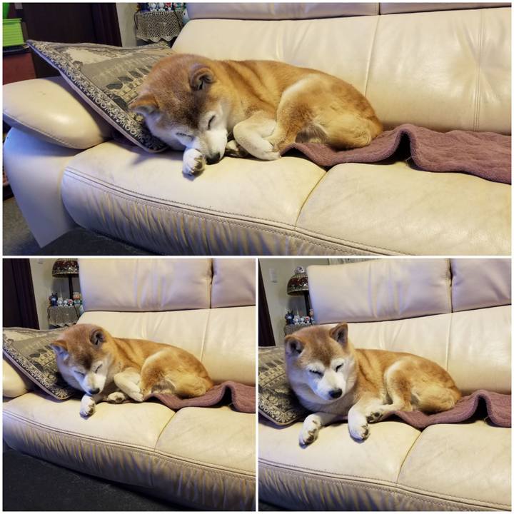 Ac2bc8a6 cd22 4ec7 b2d7 84658684b32f 1734996722581