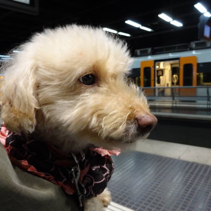 Ac2c79f0 e969 401f ae58 724db40c3962 1515957896814