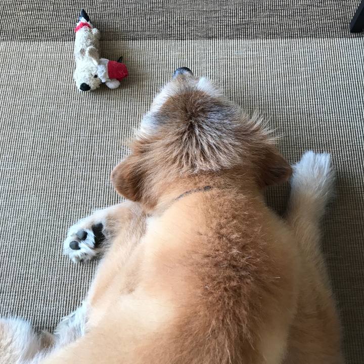 Ac2c8c91 ad3f 42dc bd77 94817bb850b7 1600312472678