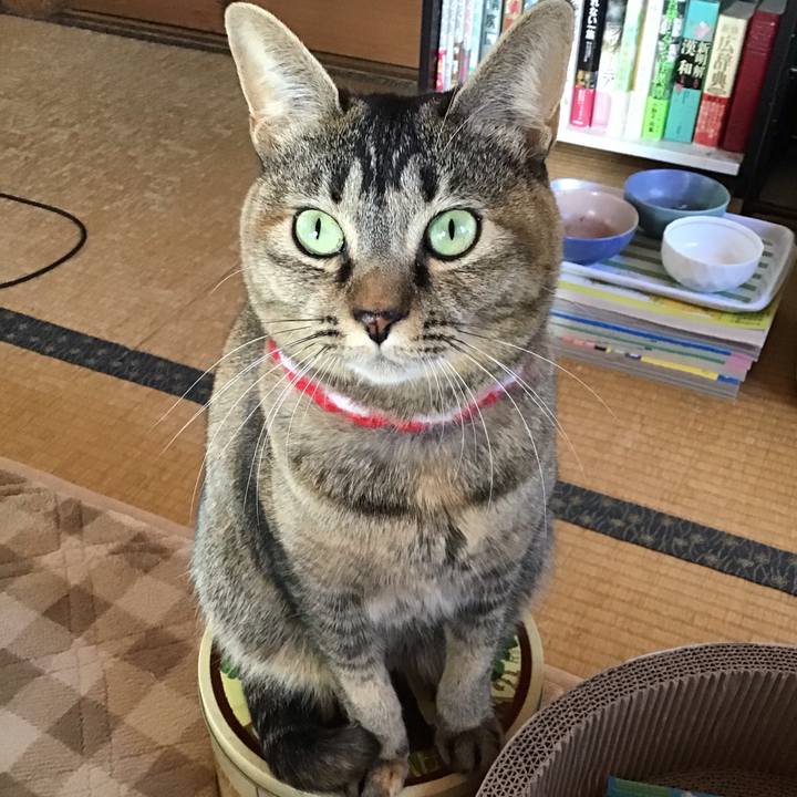 Ac2cba5c 6706 4ea8 83ef b4552a96c6de 1608432245490