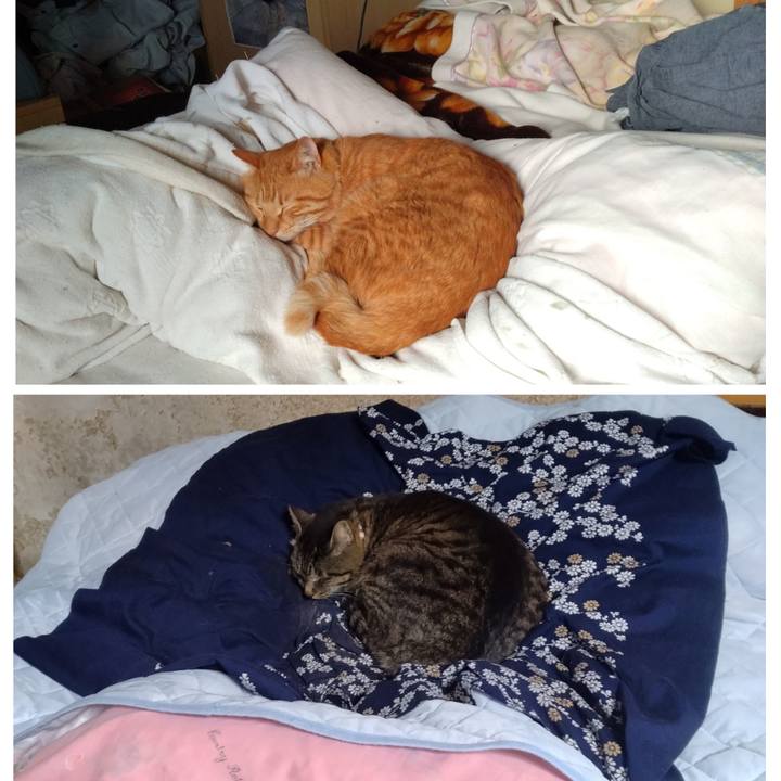 Ac2d31ac 8510 444e ae7b 8b650b420653 1717544169280