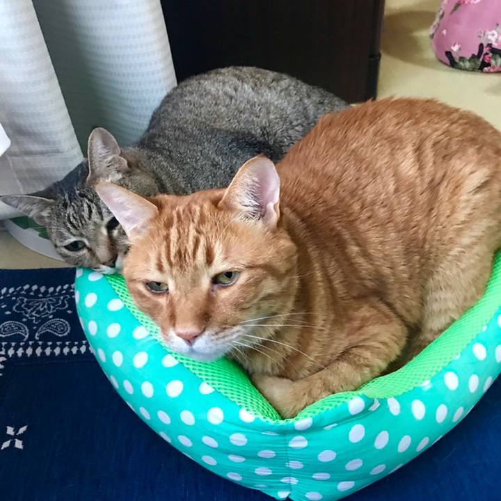 Ac2d3f64 700b 4384 b234 f35f76d7dec3 1558669490116