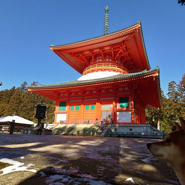 Ac2d57d8 720a 454b a871 40d46c6a7d44 1767091807182