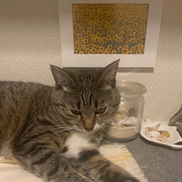 Ac2d6339 d0ef 4802 831b 85b199e6c1be 1563720326822