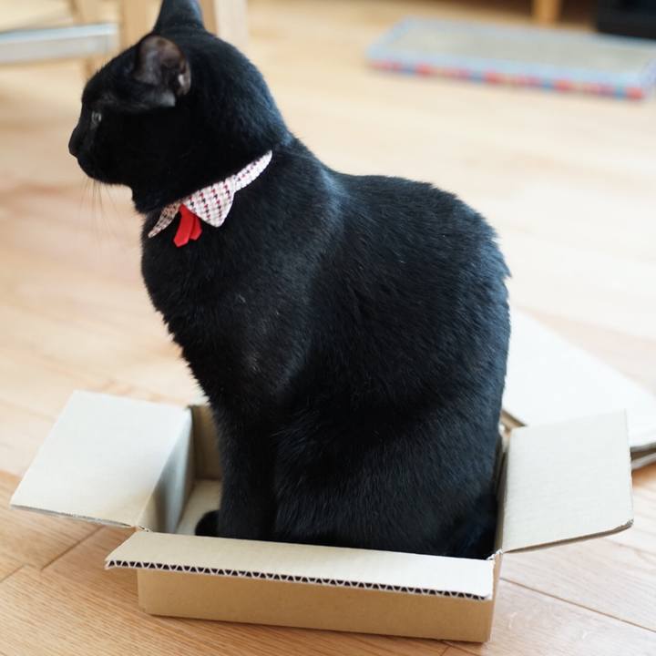 Ac2d64db 6aca 421d 98ae cb1de257bd7f 1531702877403