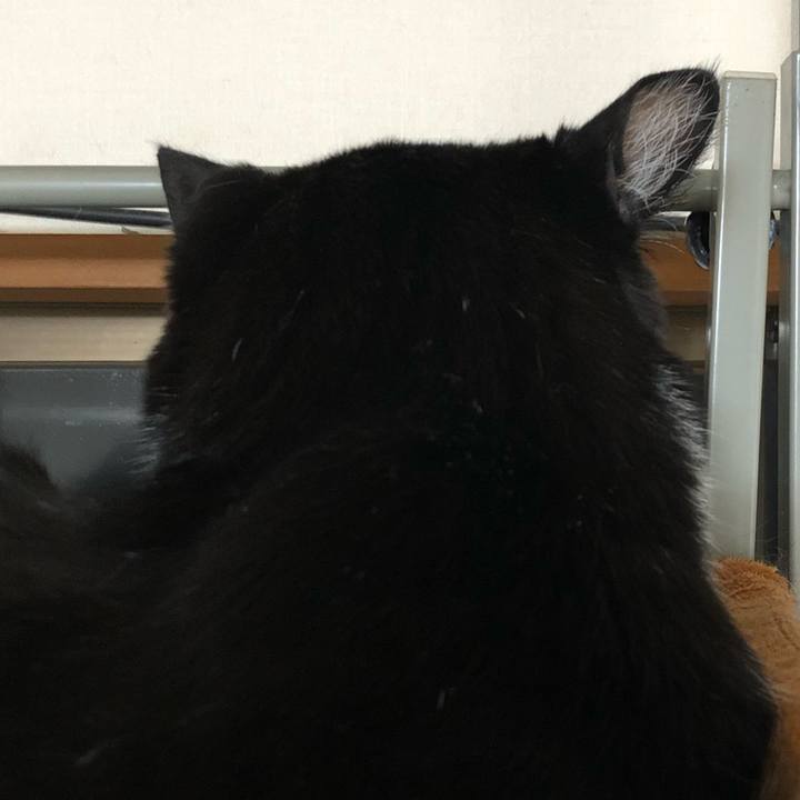 Ac2d6d88 2a77 4abc b391 c42d9ec315b6 1651030863373