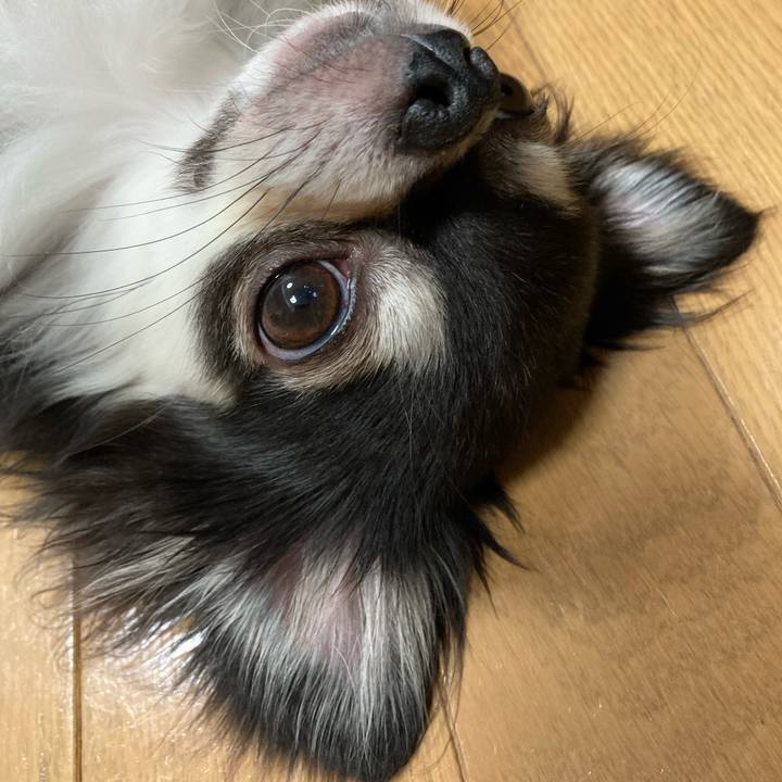 Ac2d8059 056a 438e 902b 615bc0c179b0 1662817356760