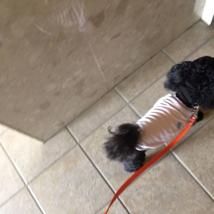 Ac2d921b df2b 488c 9c6f f6ab2208638c 1526446159230