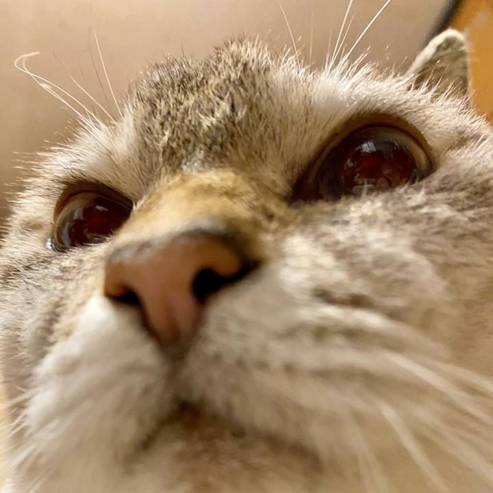 Ac2dc555 870f 4433 8f6b 5893845bbf97 1609283340452