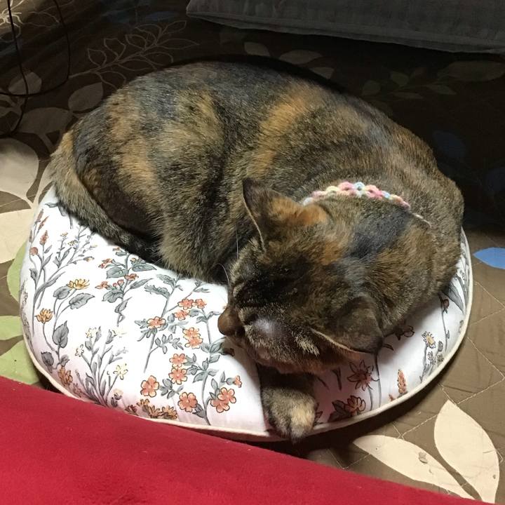 Ac2dcdb4 30ef 412b 87db f97fed316fa0 1696670428104