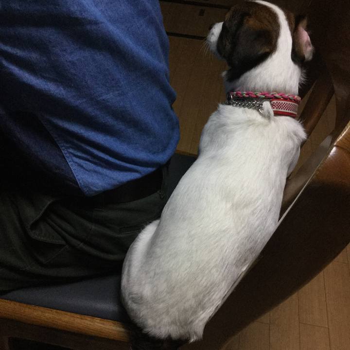 Ac2dcec0 2d25 49e1 b236 6cd7d326f302 1523529227830