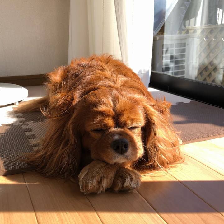 Ac2dfb50 7d3d 402b be03 1de8a7a355a7 1644033849306