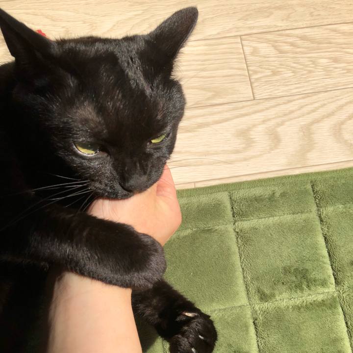 Ac2dfb8d f4d9 4873 8c61 87967707e2f5 1531700471793