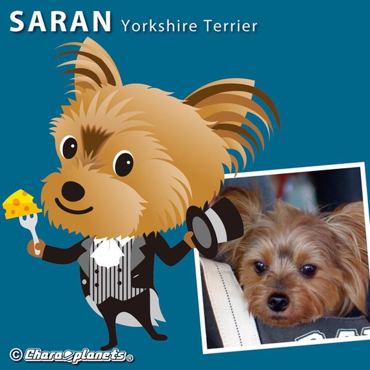 Ac2e0302 ba60 4587 b3dc 3e562e6fb44d 1559439586287