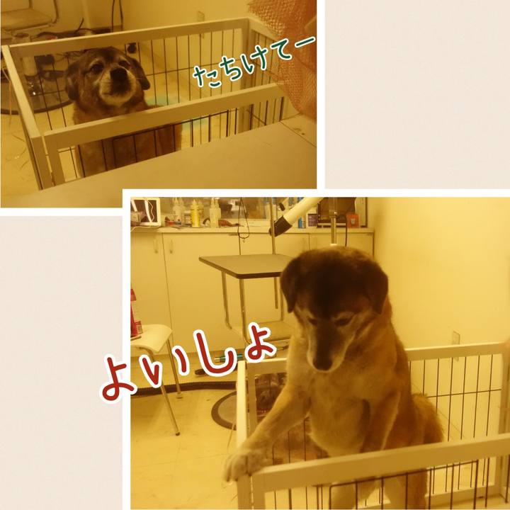 Ac2e0a2c 0077 4246 9284 09e9eeefe7a1 1714355991474