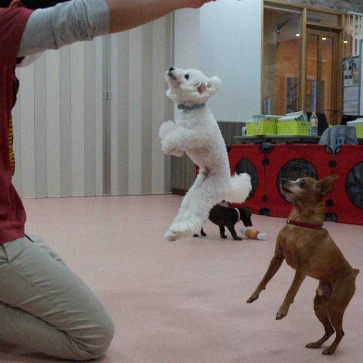 Ac2e6d1c b47f 41d9 97d6 a0ba3b7bfec4 1548316816016