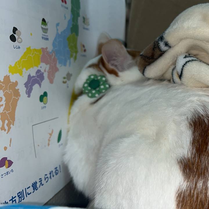 Ac2e7374 b621 4da0 822a 686f6f63111a 1764955653501