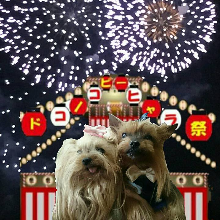 Ac2e7663 8c15 46e9 ac50 d901204b28da 1533384798226