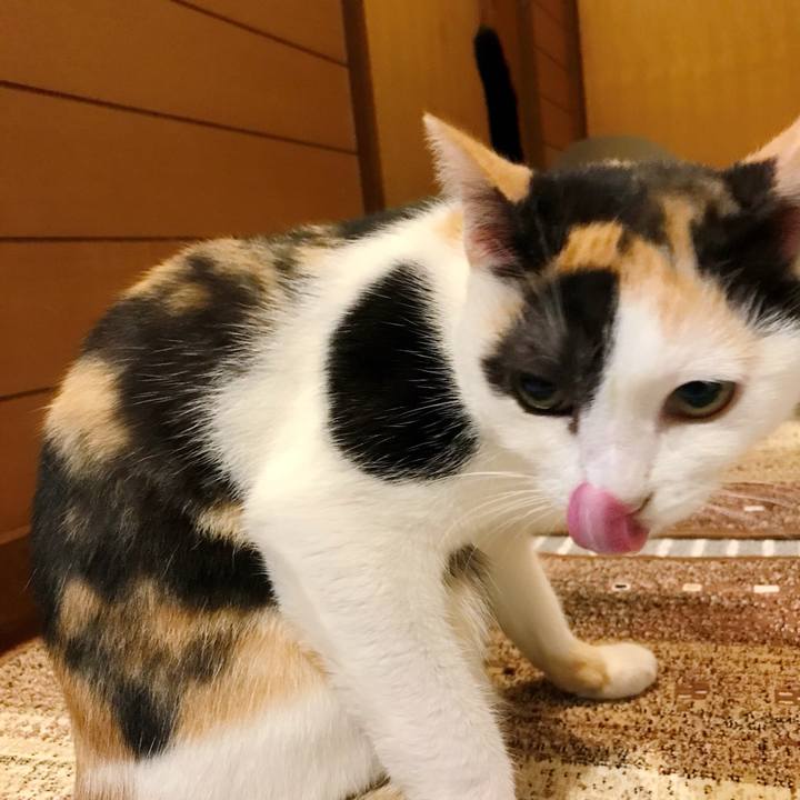 Ac2e816a e14b 457b 9436 2f5cb51d38a1 1508980975609