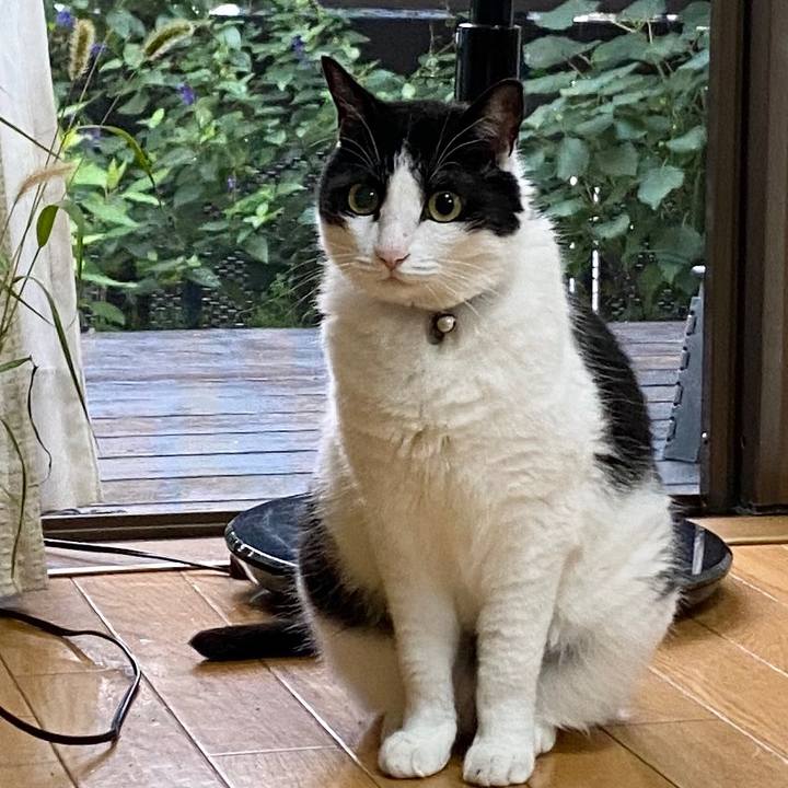 Ac2e893f 9171 478c 9419 8bfc62937734 1596757303409