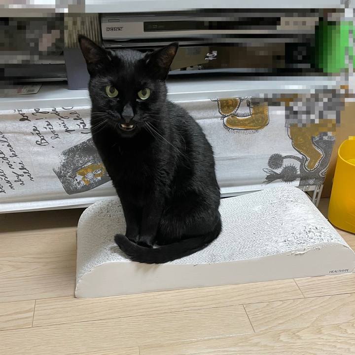 Ac2e9c7f 6396 4bac a436 8dedc74594ba 1647080584210