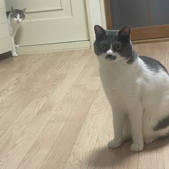 Ac2ea250 4c74 482c bfd7 fc79f7174b05 1625632578553