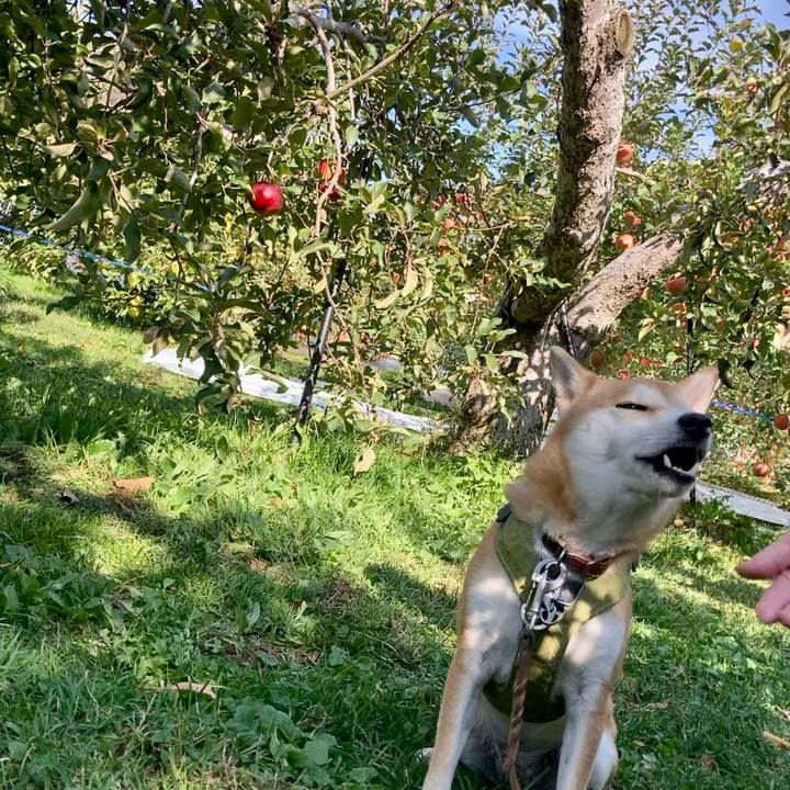 Ac2eb6d9 c9a2 4c1a 9784 d8ba4ecd957e 1699184214659