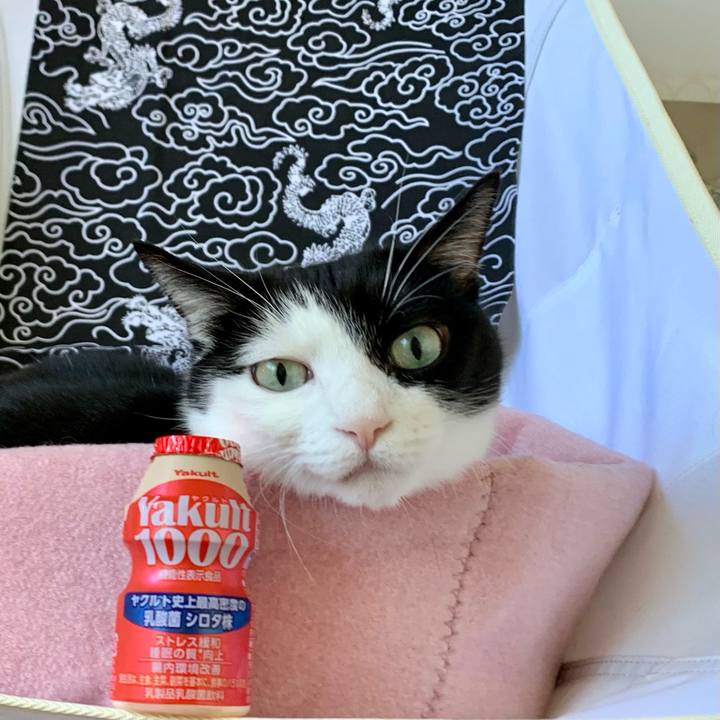 Ac2edd16 ebca 4e3d 983d c2ff7cada0d2 1632786267605