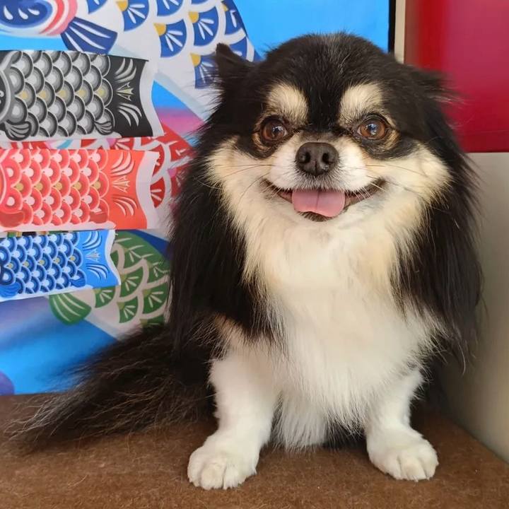 Ac2ef016 1235 4027 ab52 98bfbe5cb51d 1758854472987