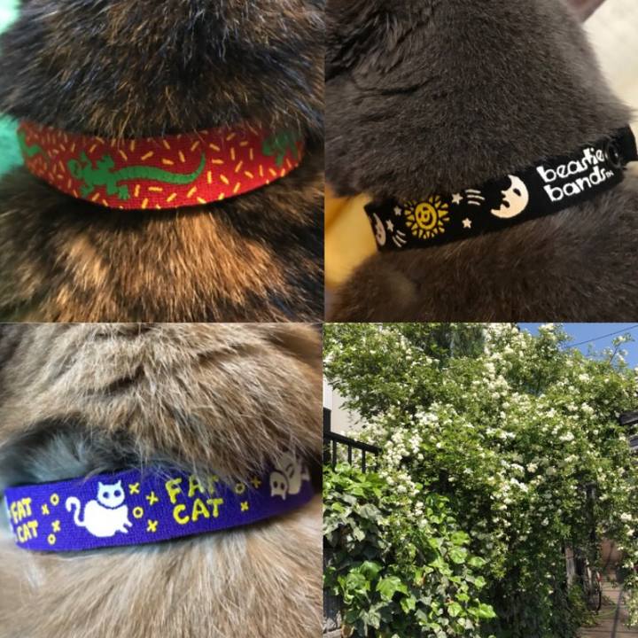 Ac2ef377 3ae9 4ee5 a021 994a73a3ff70 1525692532875