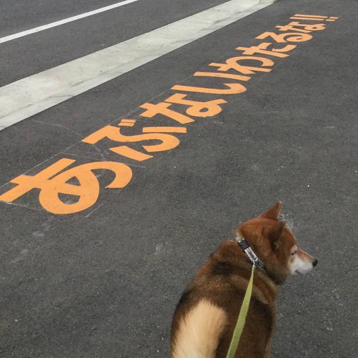 Ac2f1f24 e84e 4c38 9bc2 ced2ff191a4c 1580112466197