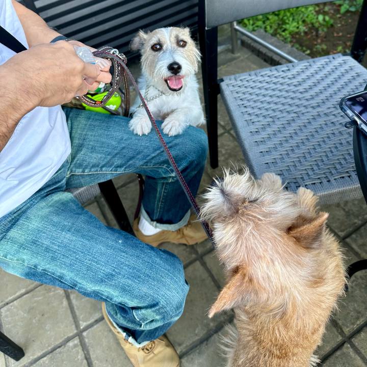 Ac2f40ea 76c5 451e b276 64a4190ef265 1729434030827