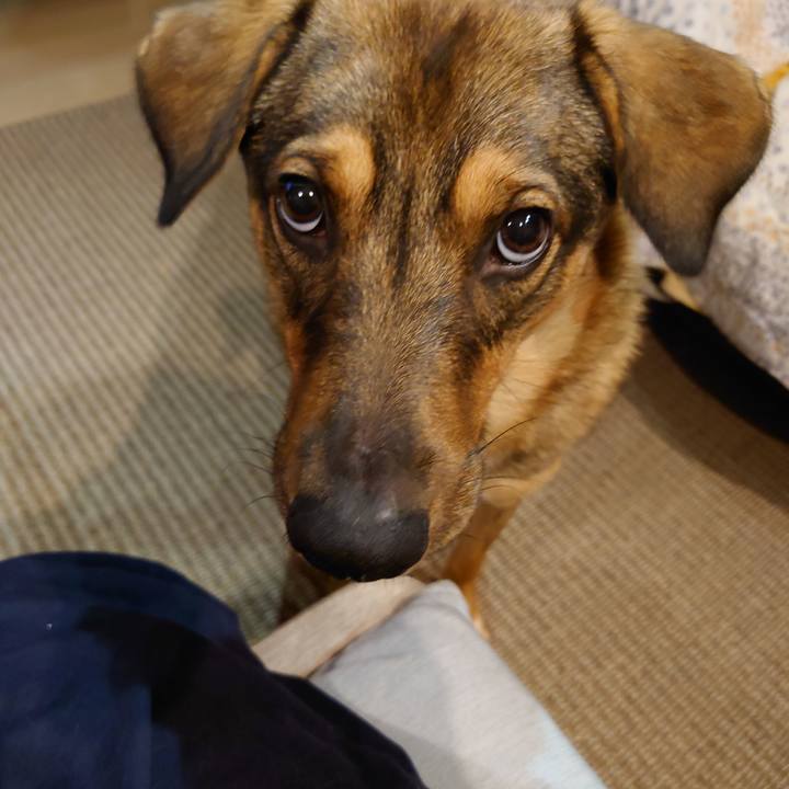 Ac2f6322 3404 41ee 8211 4b60b3190127 1700650354297