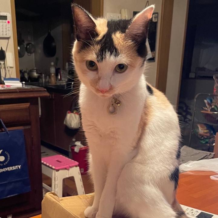 Ac2f7168 ba41 458f 9675 dc754dc6d1ab 1688816936574