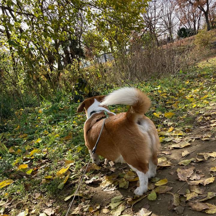 Ac2faebe 5dc0 4d91 a994 61ec86611a11 1703206590116