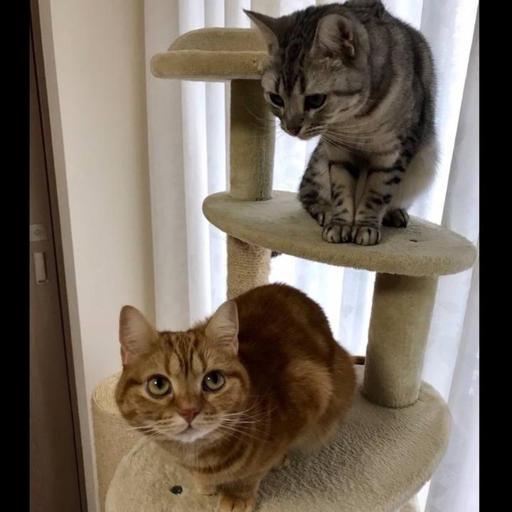 Ac2fcbab 56cb 411d bf24 f4ff0cd35a4e 1547677946020