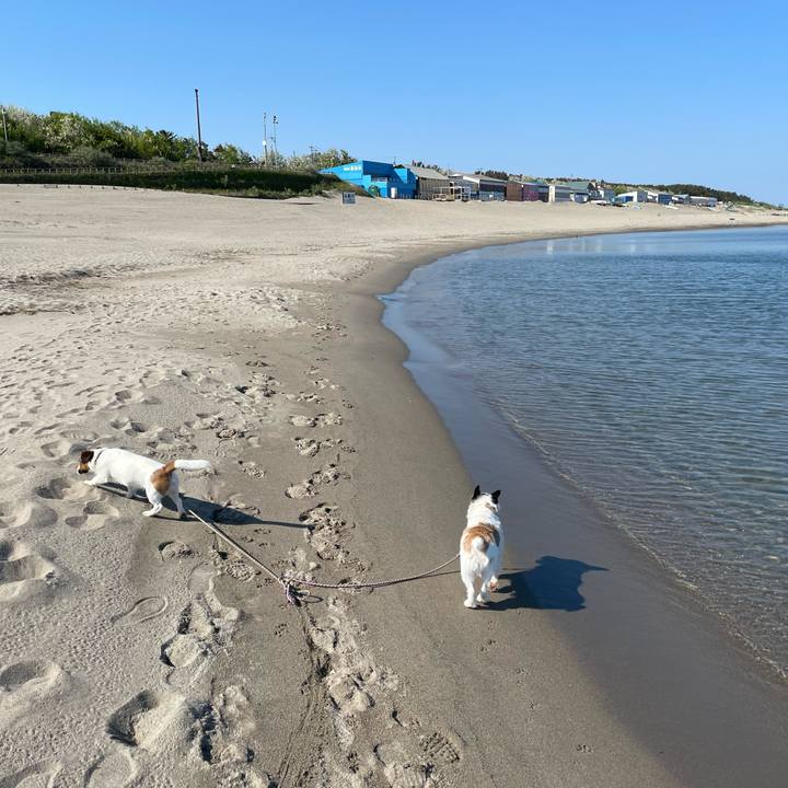 Ac2fd4a7 9f8c 4e46 a170 0710ef35f1ca 1653439359512