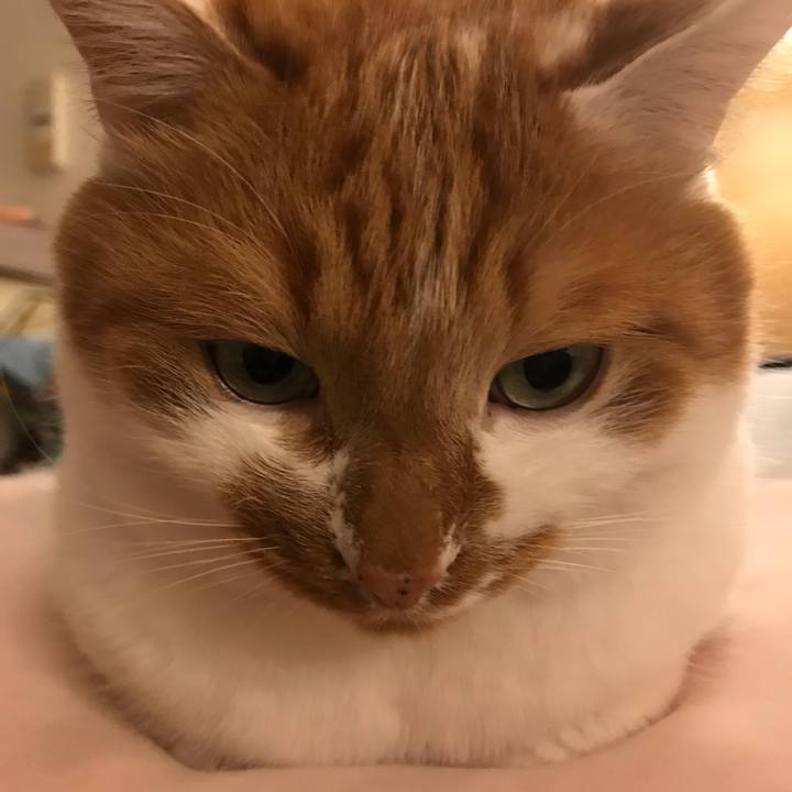 Ac2ffbcd a936 464f bb20 060b7a87c9f1 1552988863695