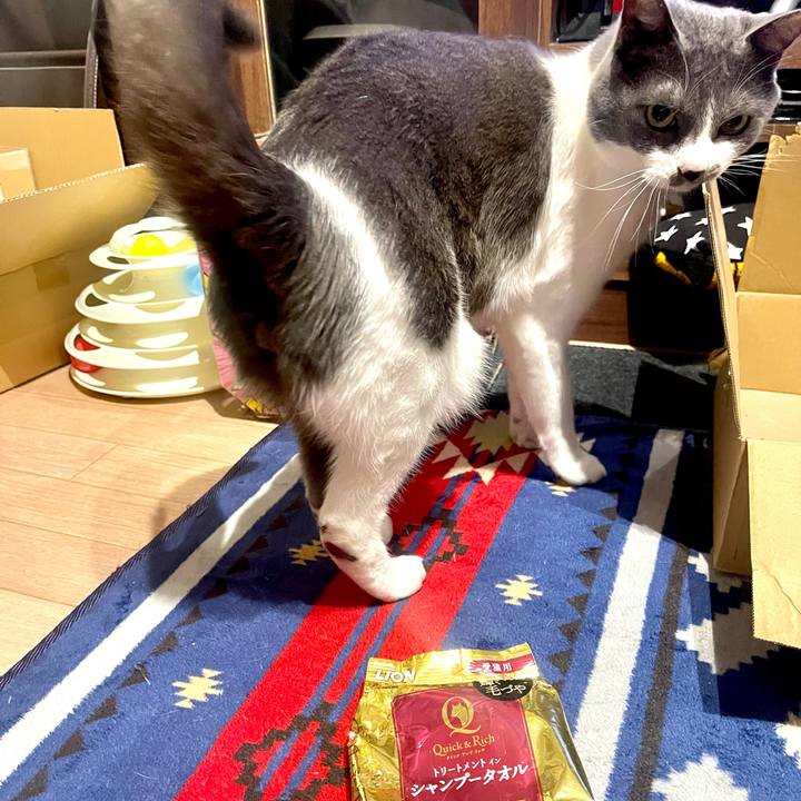 Ac301f23 619f 4794 9070 b5f119d09140 1645695237289