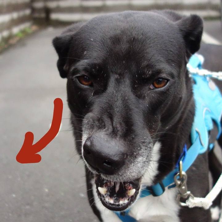 Ac303dc9 e45d 4f90 a81b b09e4b631284 1635294957706