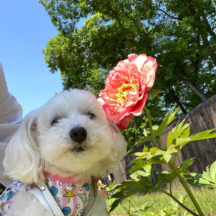 Ac30611d 38c0 47e2 8aad 444bfe9ba08d 1651559152139