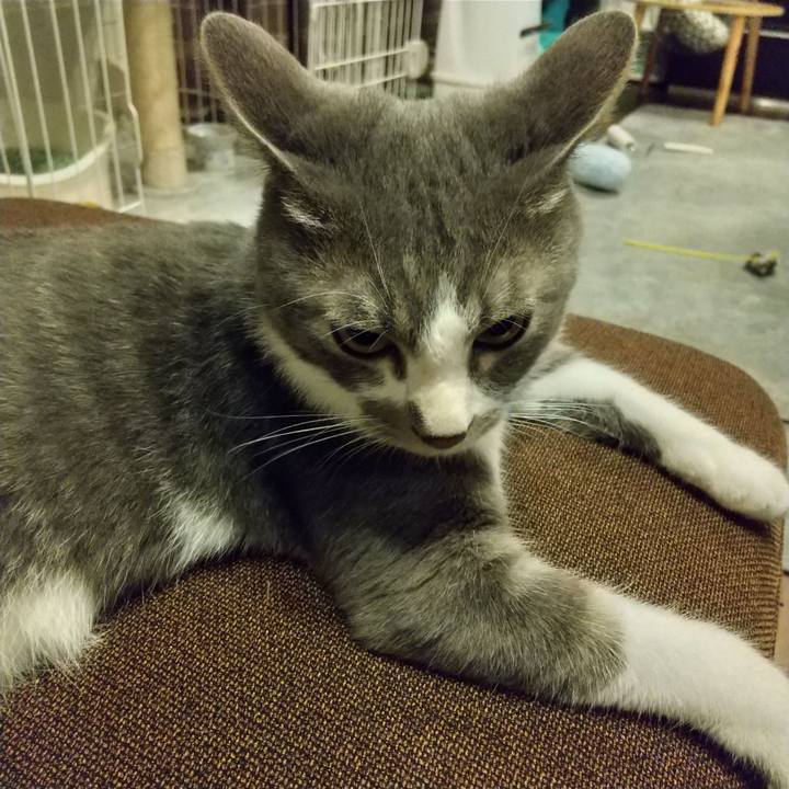 Ac306b02 6d3d 4b82 baaf 7d9ba228f0e0 1597765079027