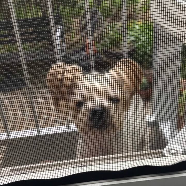 Ac30b697 0281 40e1 a9f1 fbc5f4d7f515 1559889445543